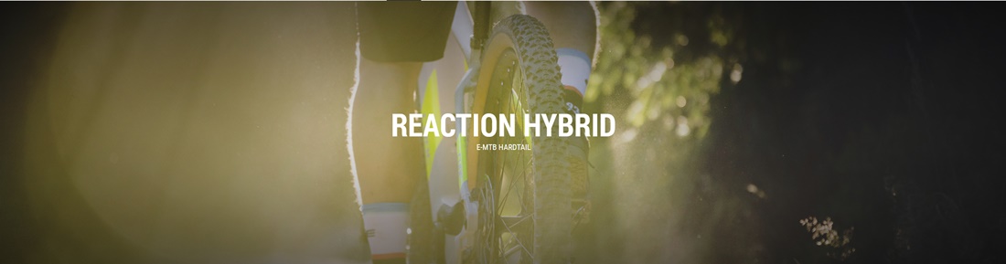 CUBE REACTION HYBRID 2020