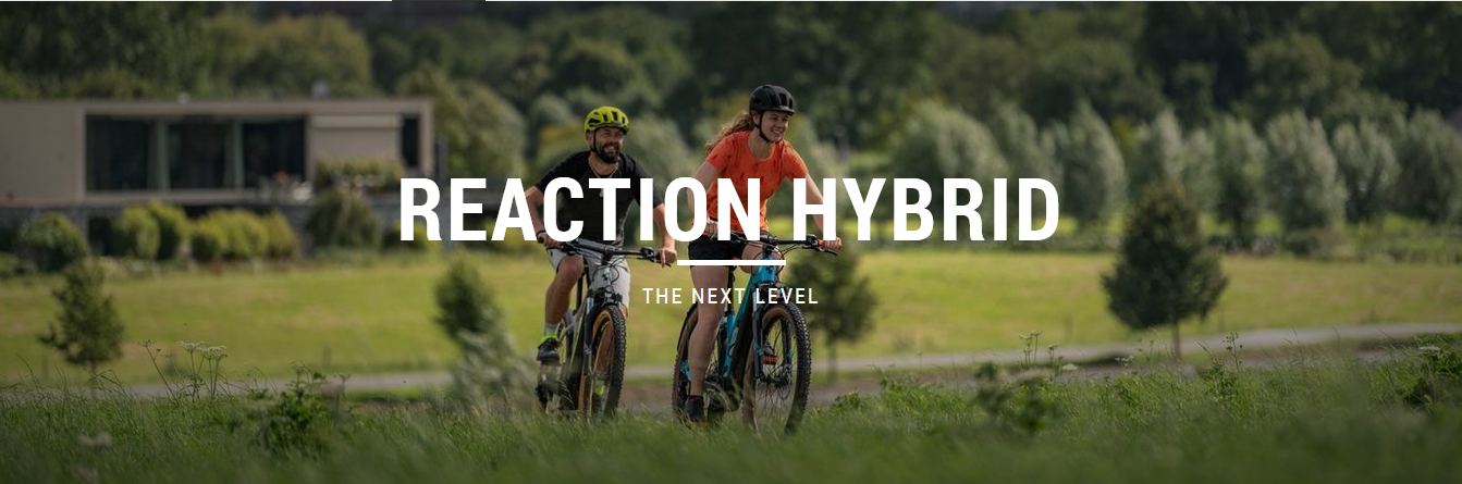 REACTION HYBRID 2021
