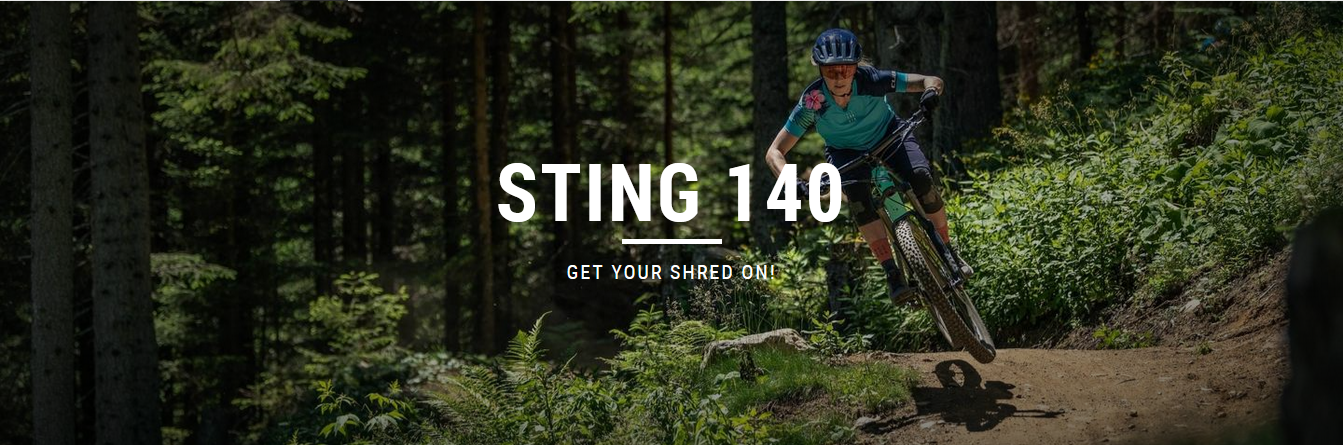 STING WS 140 2021